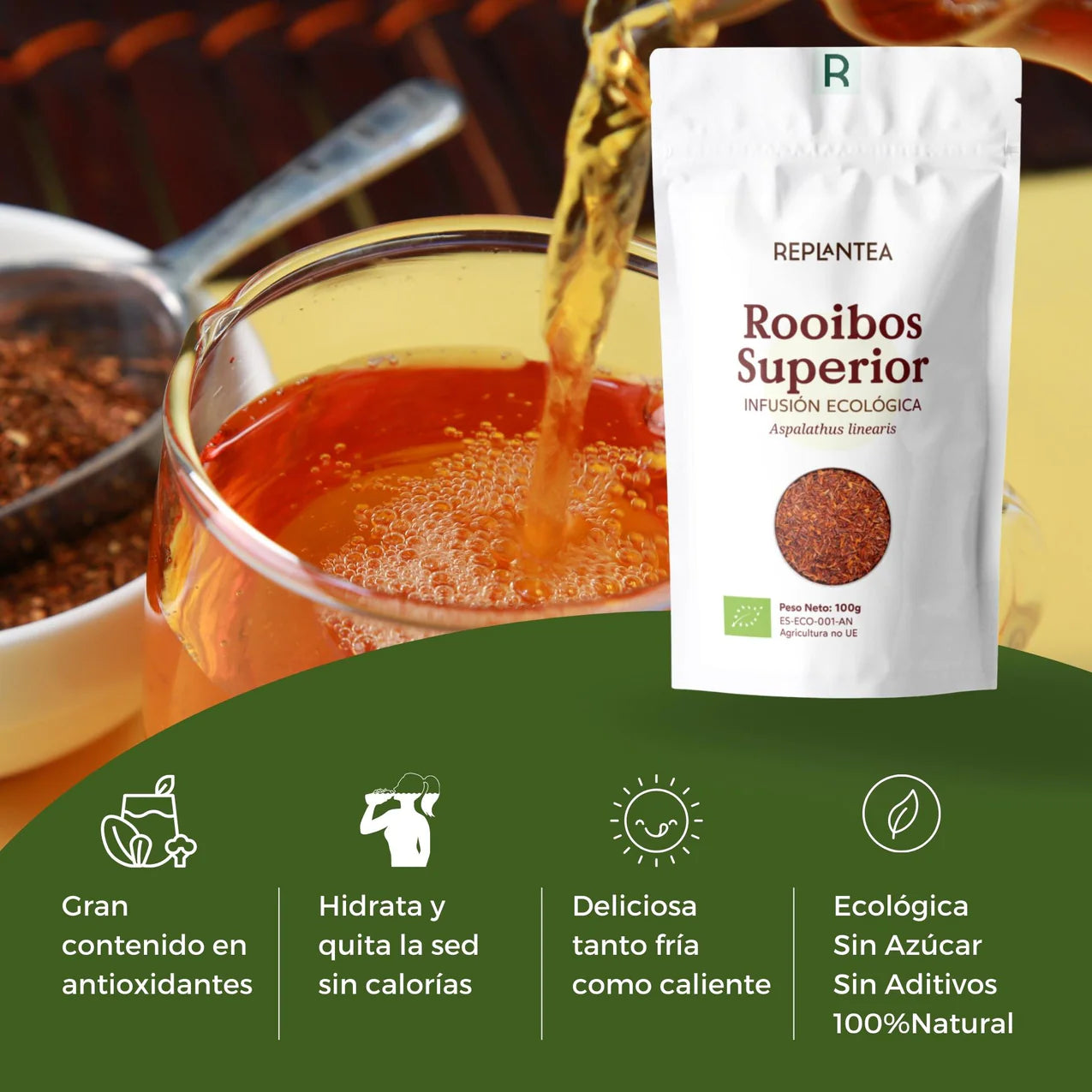 Rooibos Puro Calidad Superior Ecológico 100g