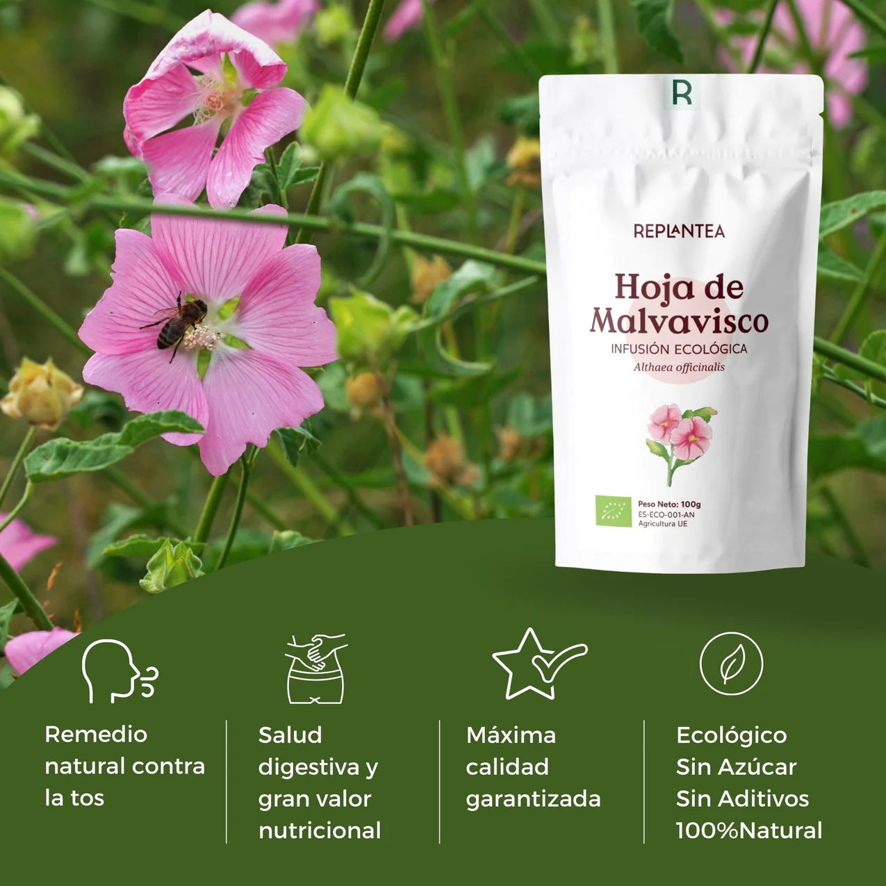 Infusión de Malvavisco o Hierba Cañamera Ecológica 100g