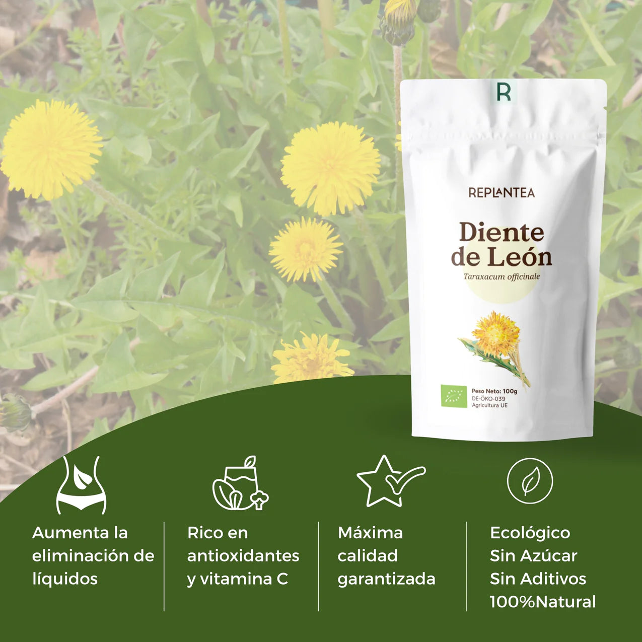 Infusión de Diente de León Ecológica 100g