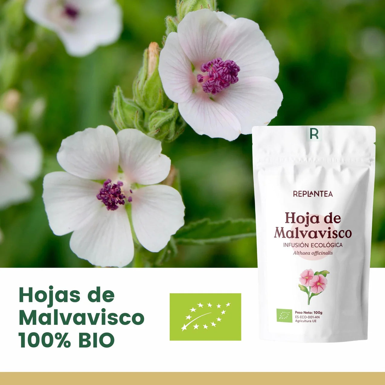 Infusión de Malvavisco o Hierba Cañamera Ecológica 100g