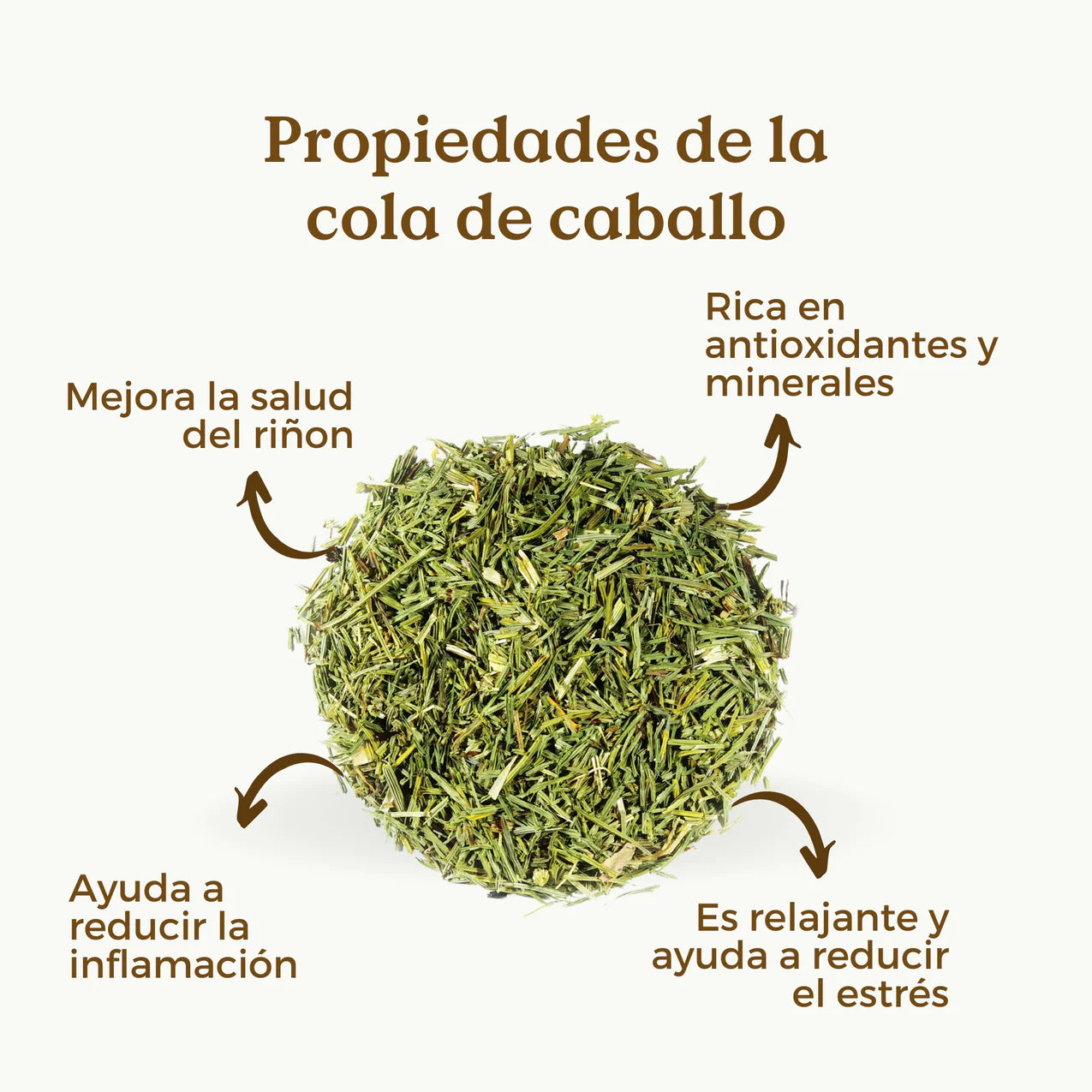 Infusión de Cola de Caballo Ecológica 100g