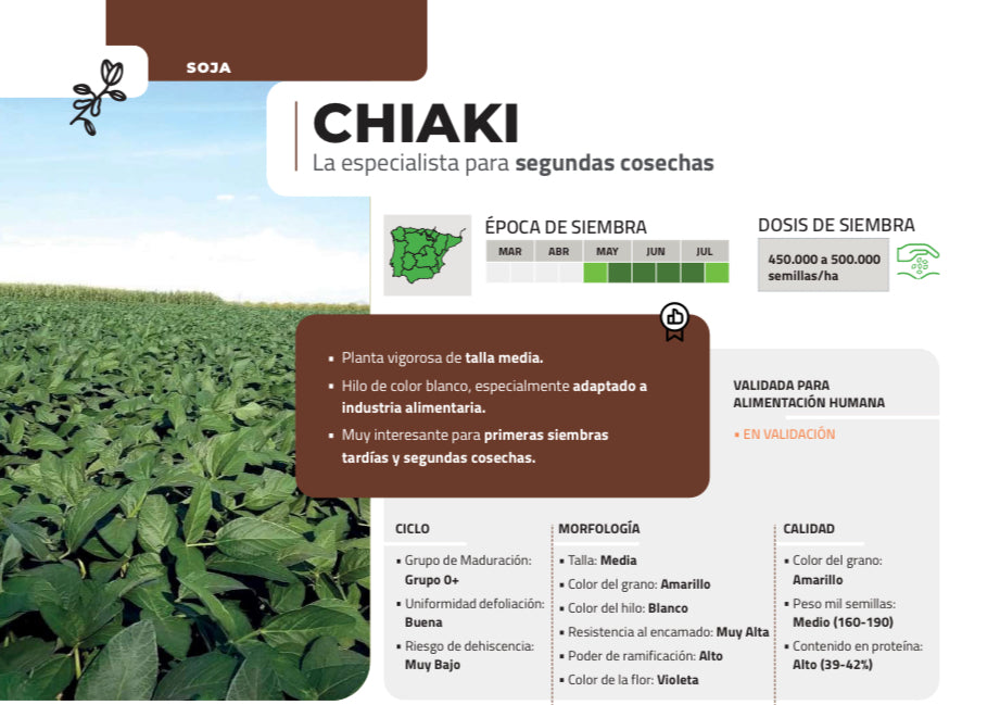 Soja Chiaki