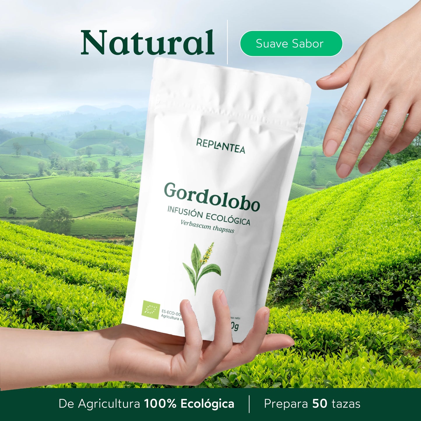 Infusión Gordolobo Ecológica 100 gr