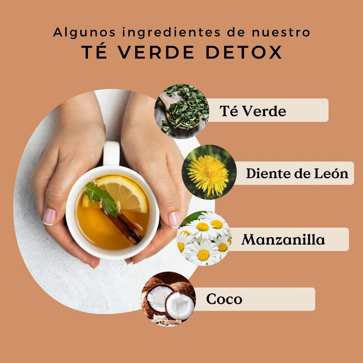 Té Verde Detox Ecológico 100g
