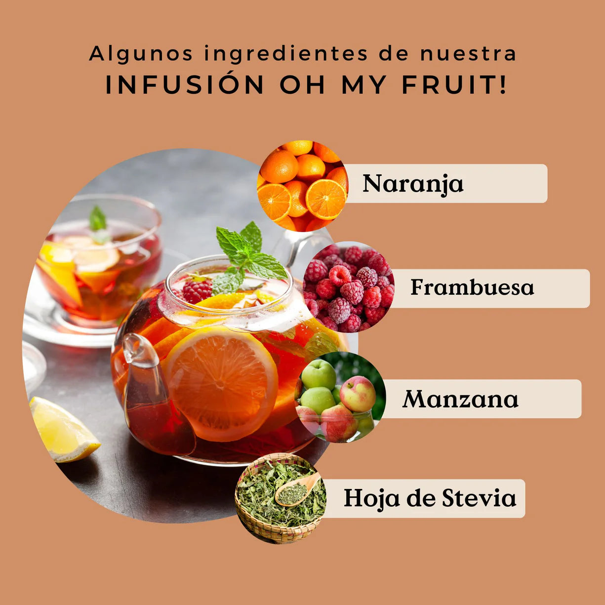 Infusión de Frutas Oh My Fruit! Ecológica 100g