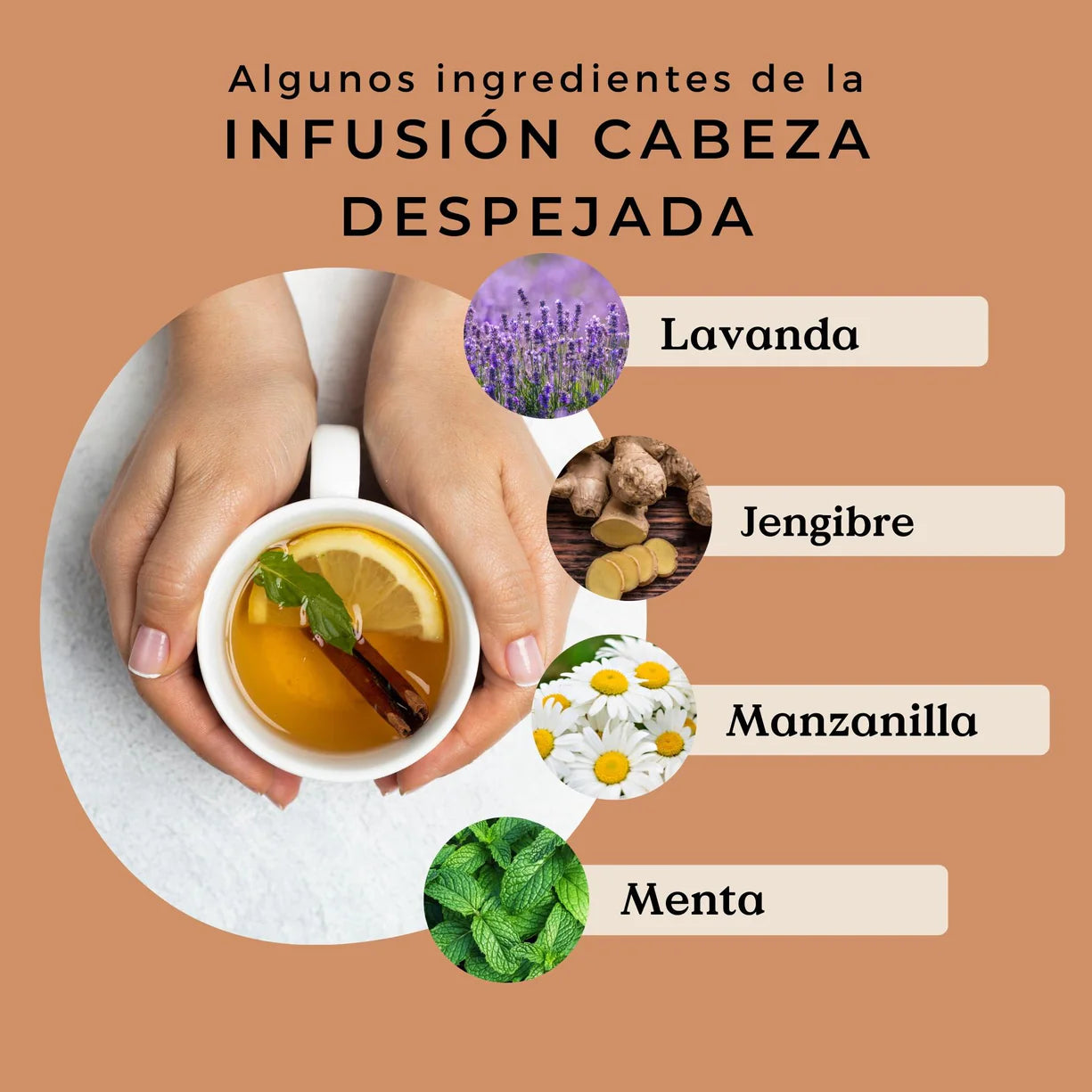 Infusión Cabeza Despejada Ecológica 100g