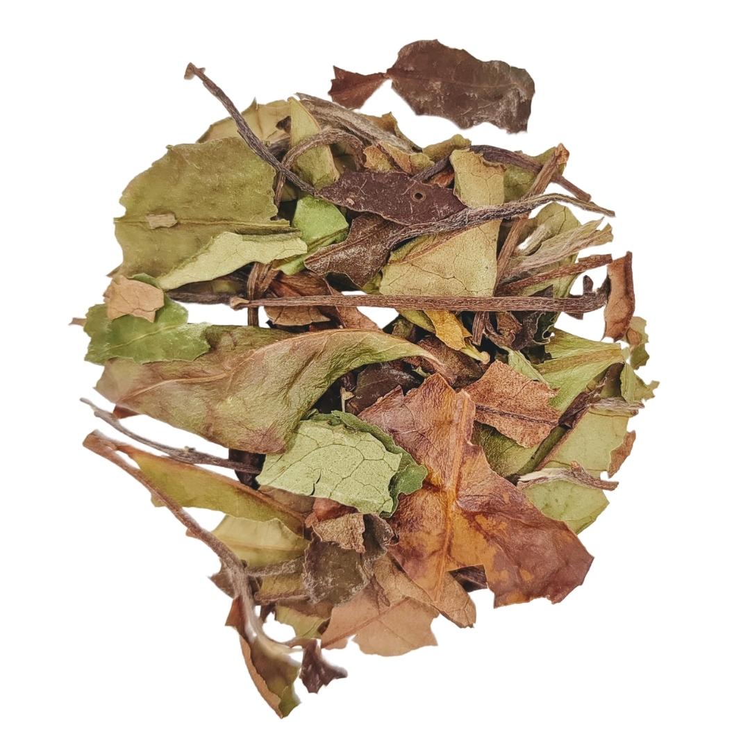 Té Blanco Pai Mu Tan Ecológico 50g