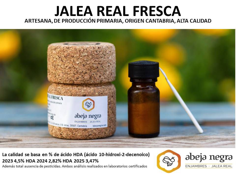Jalea Real Abeja Negra