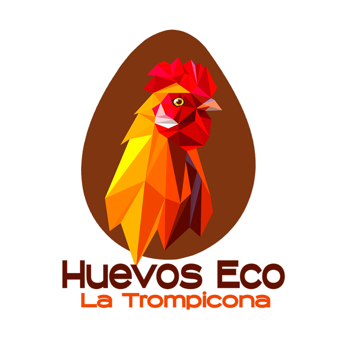 Huevos la Trompicona