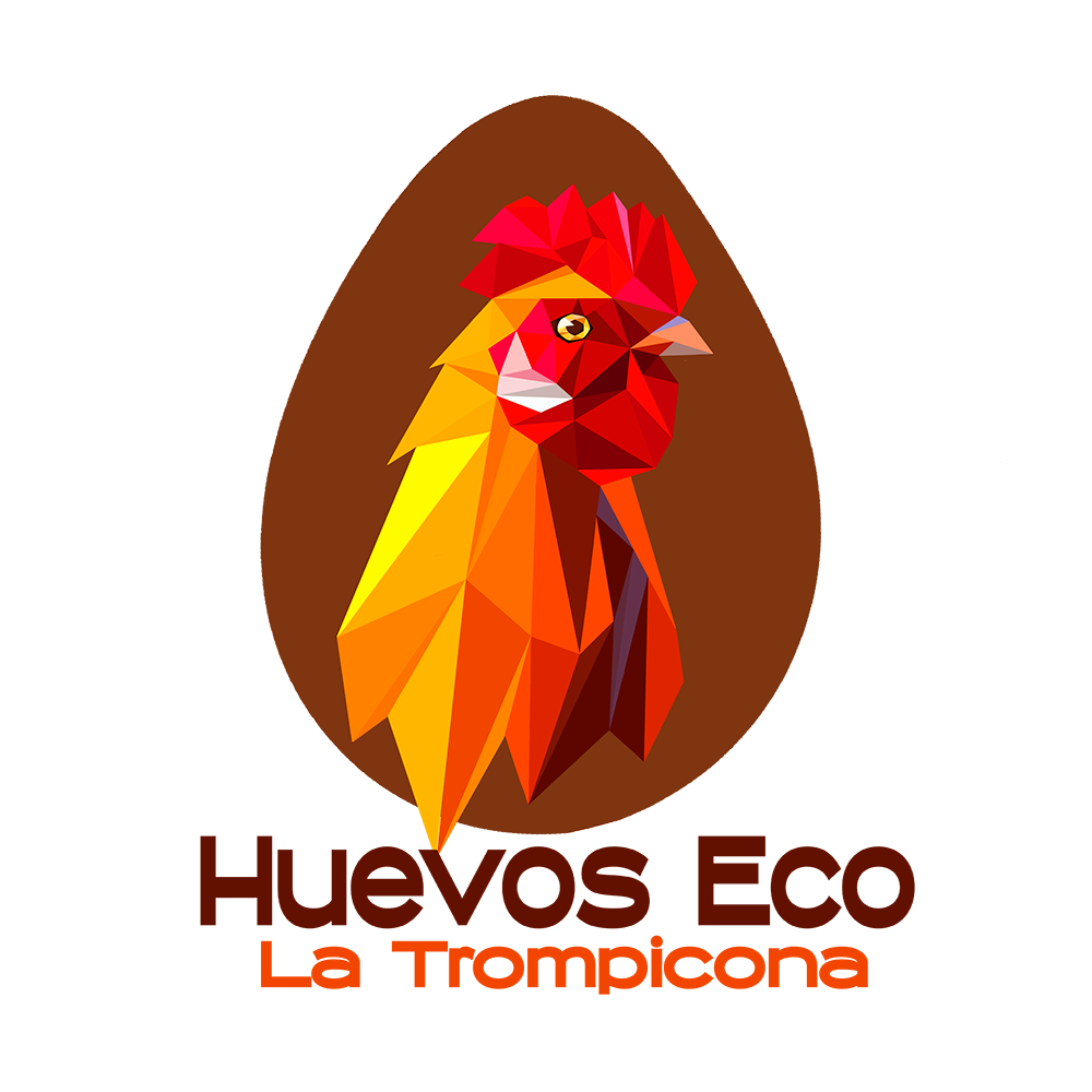 Huevos Ecológicos Docena