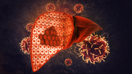 Las 3 fases de desintoxicación hepática.