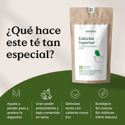 Té Verde Kukicha Superior Ecológico 100g