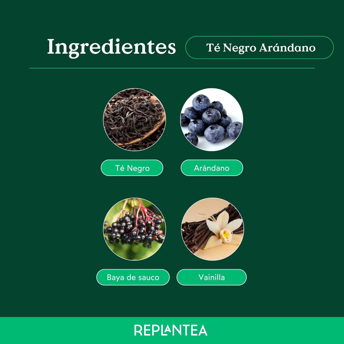 Te negro Arándano Vainilla