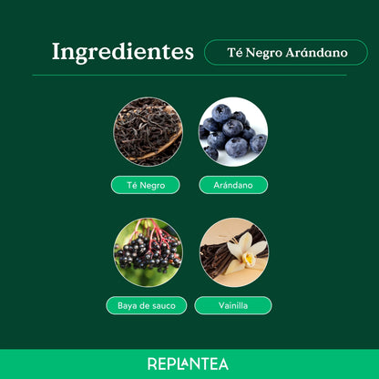 Te negro Arándano Vainilla