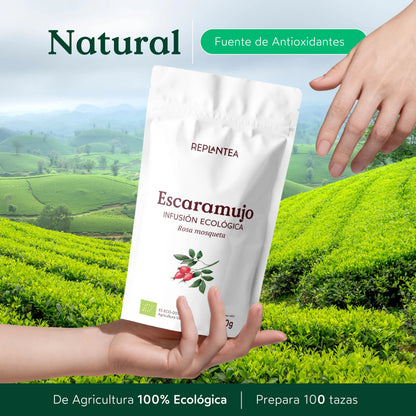 Infusión de Escaramujo Ecológica 200 gr