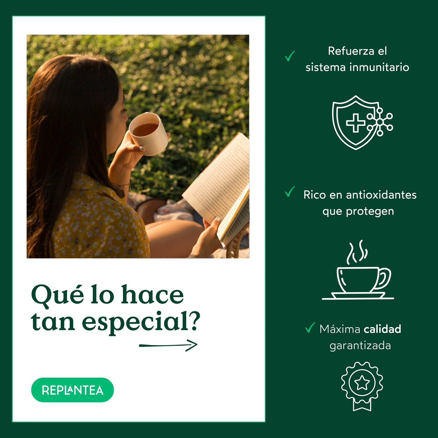 Infusión de Escaramujo Ecológica 200 gr