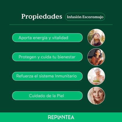 Infusión de Escaramujo Ecológica 200 gr