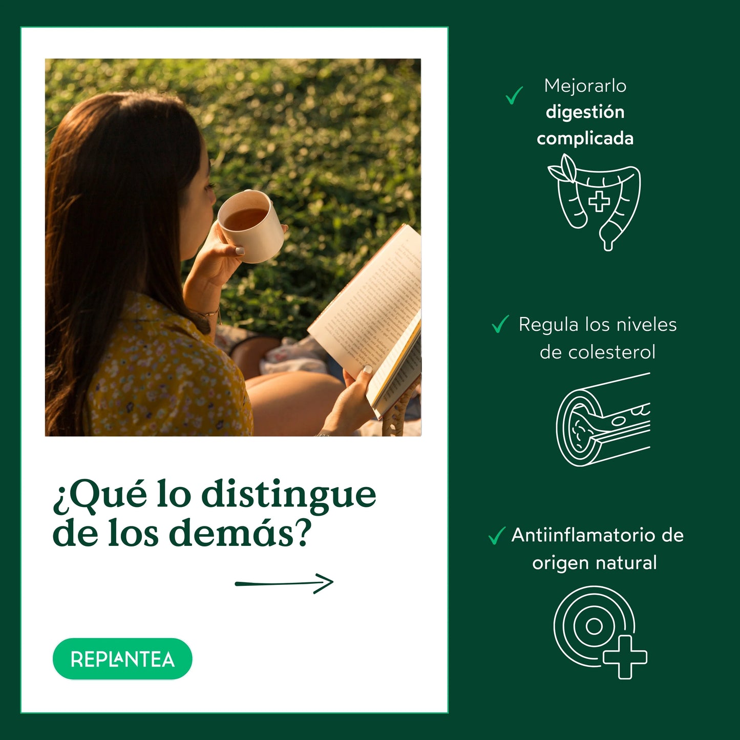 Infusión de Fenogreco Ecológica 200g