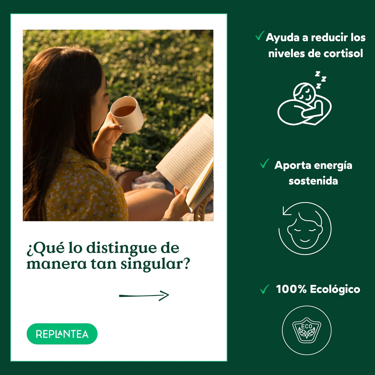 Infusión Raíz de Ashwagandha Ecológica 100g