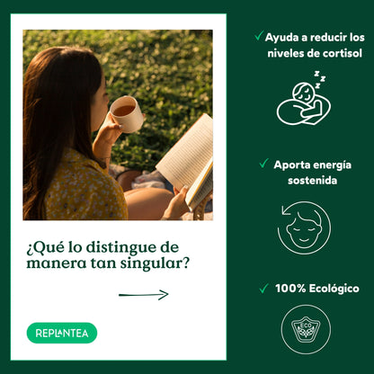 Infusión Raíz de Ashwagandha Ecológica 100g