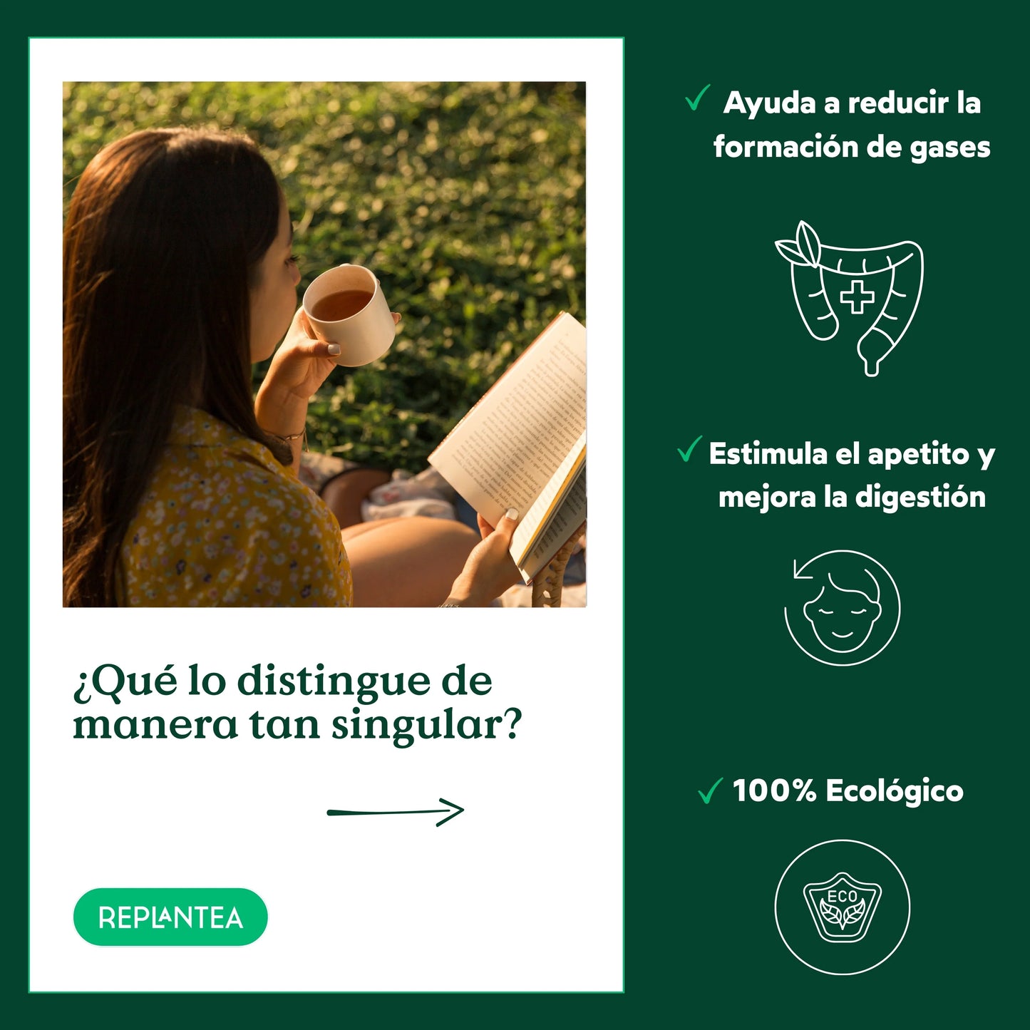 Infusión Lemongrass Ecológica 200 gr