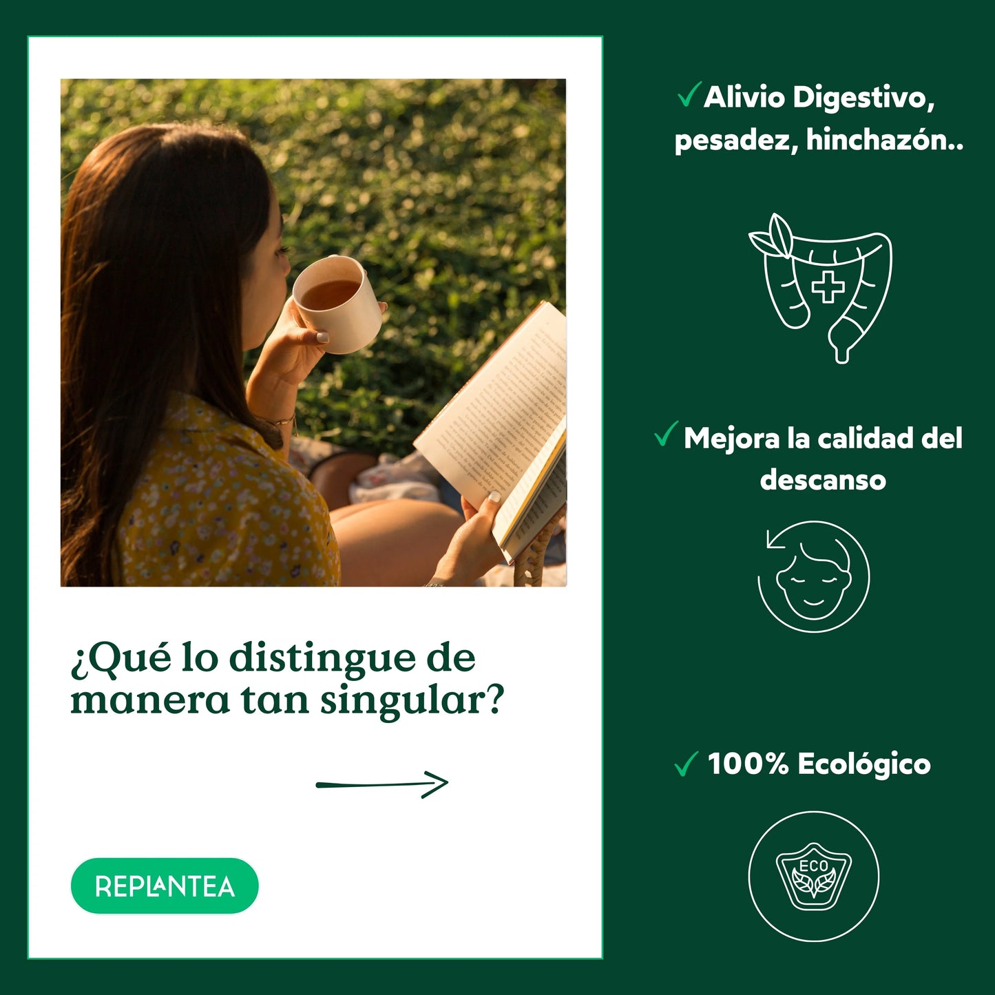 Infusión Hierba Luisa Ecológica 100 gr