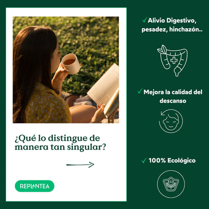 Infusión Hierba Luisa Ecológica 100 gr