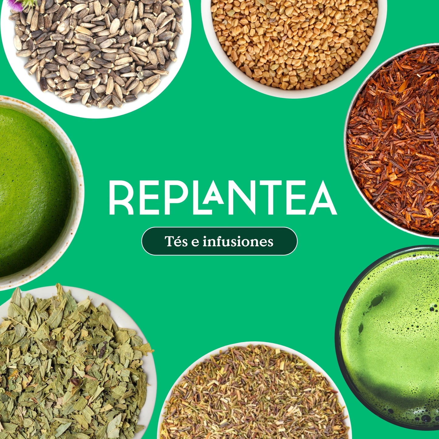 Infusión Hierba Luisa Ecológica 100 gr