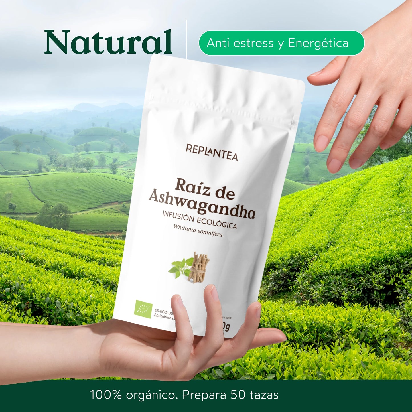 Infusión Raíz de Ashwagandha Ecológica 100g