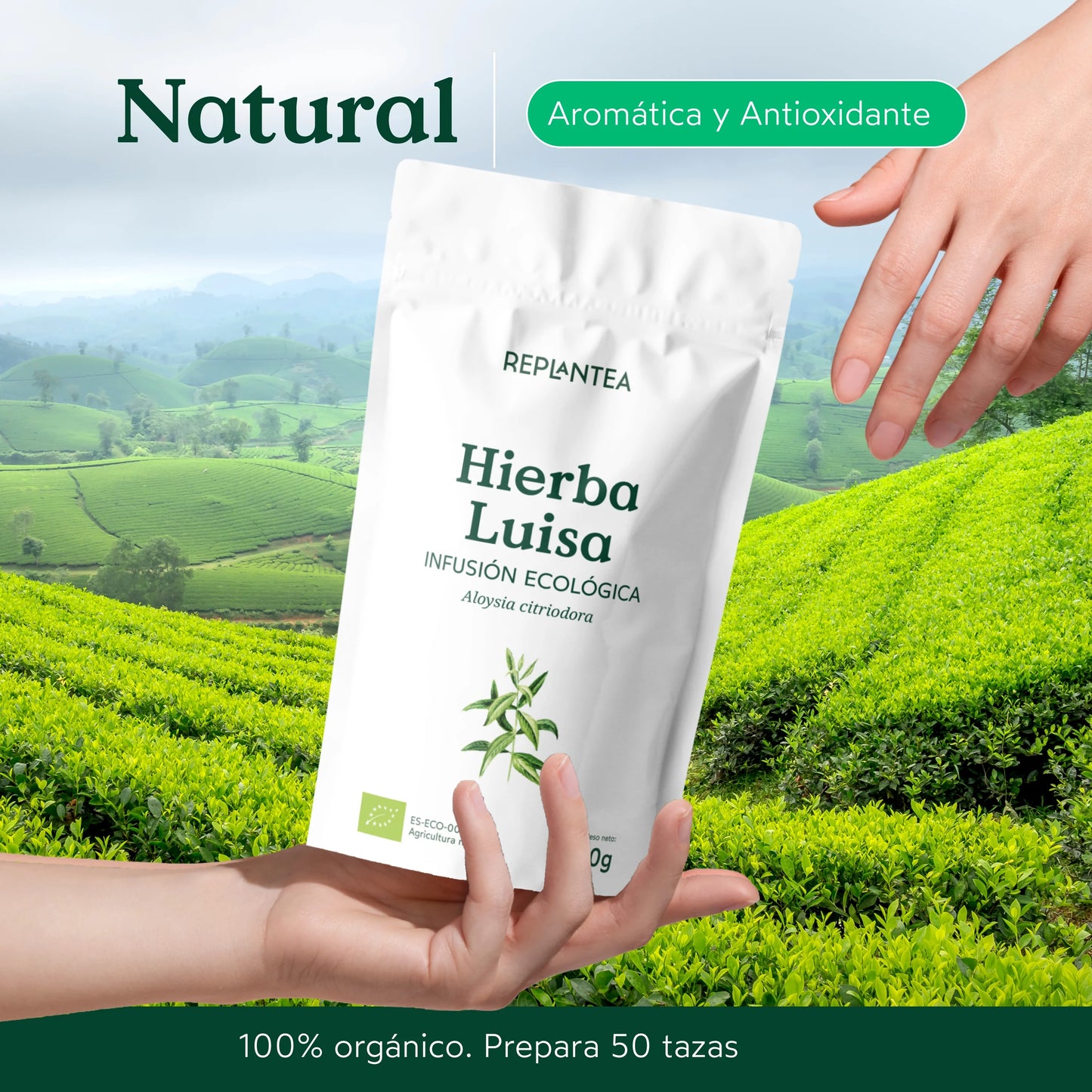 Infusión Hierba Luisa Ecológica 100 gr