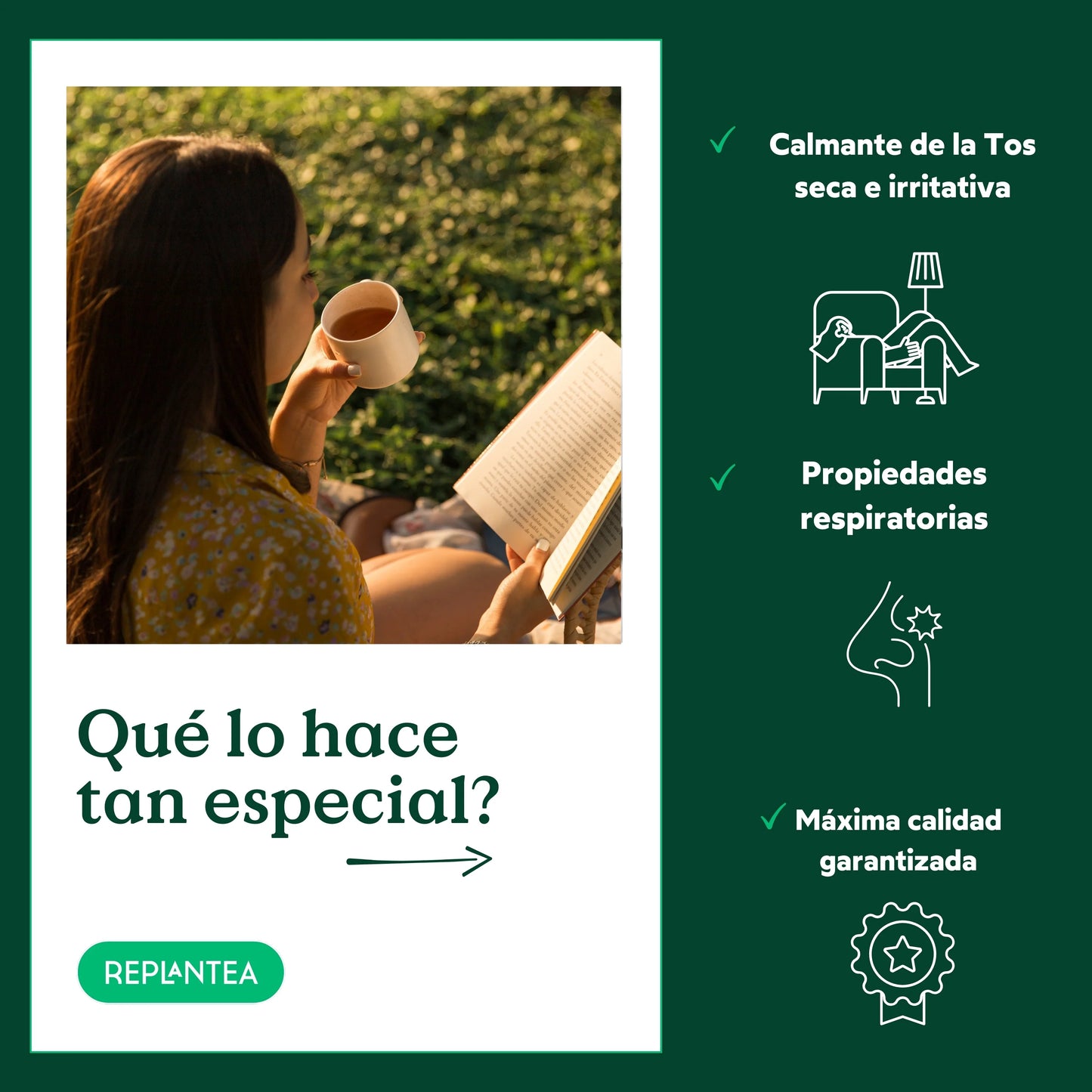 Infusión Gordolobo Ecológica 100 gr