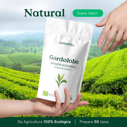 Infusión Gordolobo Ecológica 100 gr