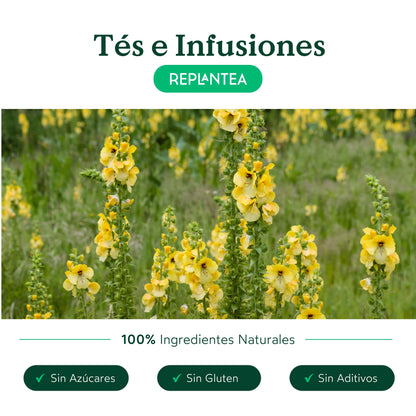 Infusión Gordolobo Ecológica 100 gr
