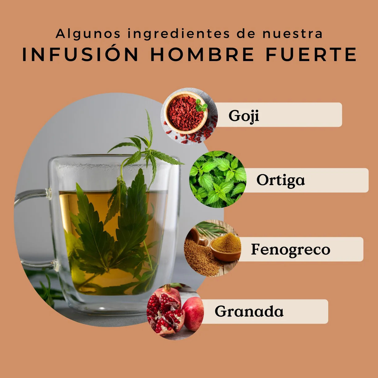 Infusión Hombre Fuerte Ecológica 80g