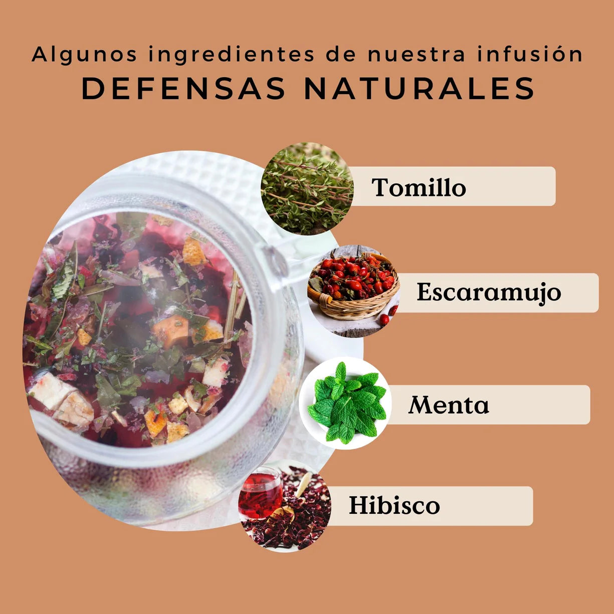 Infusión de Frutos Rojos Ecológica 100g