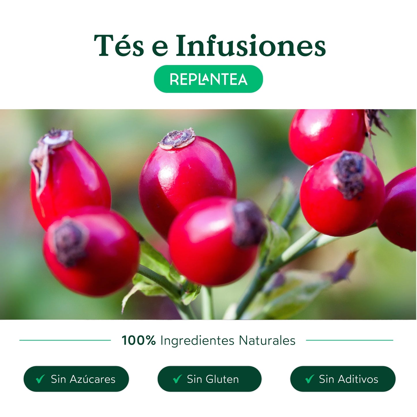 Infusión de Escaramujo Ecológica 200 gr