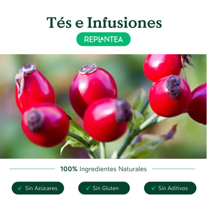 Infusión de Escaramujo Ecológica 200 gr