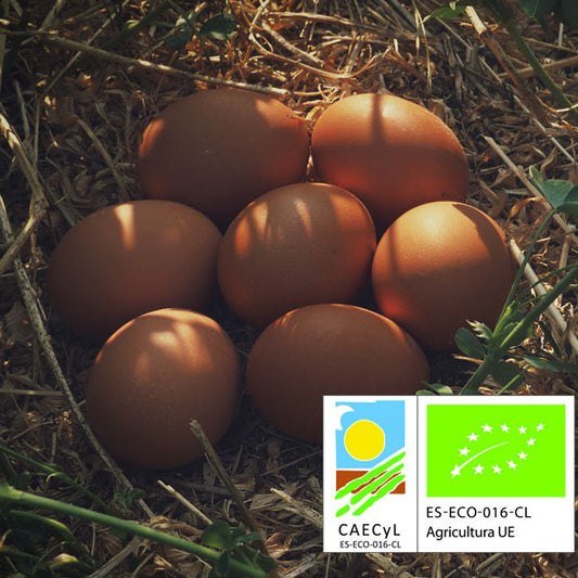 Huevos Ecológicos Docena