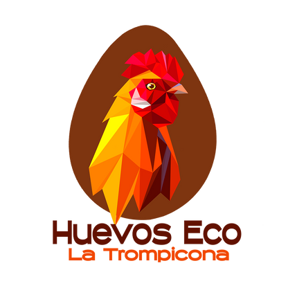 Huevos Ecológicos Docena